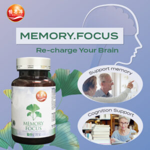 银杏忆智宝 Memory.Focus